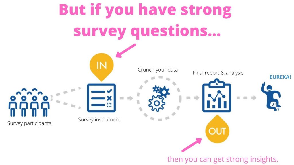 Surveys Questions